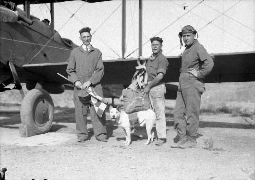 Není jisté, kdy přesně se psi stali parašutisty. Na snímku z počátku 20. let minulého století už ale pobíhali s padáky na hřbetě.