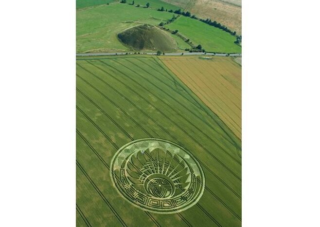 V okolí Silbury Hill a celého Avebury se velmi často objevují záhadné kruhy v obilí.