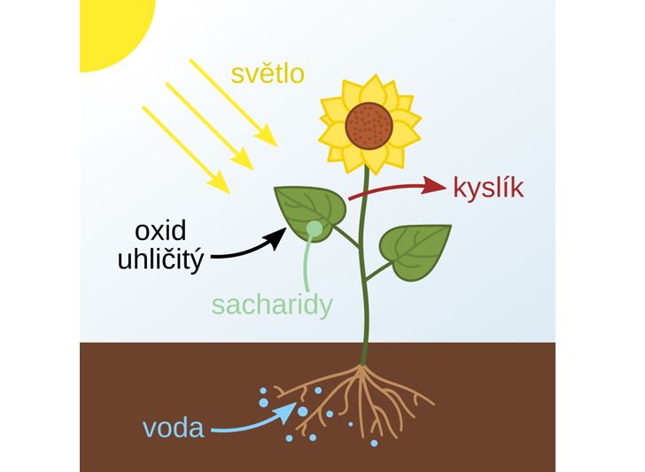 Věda ukazuje, že řešení často neleží jen v objevování nových světů – ale i v pochopení těch starých.