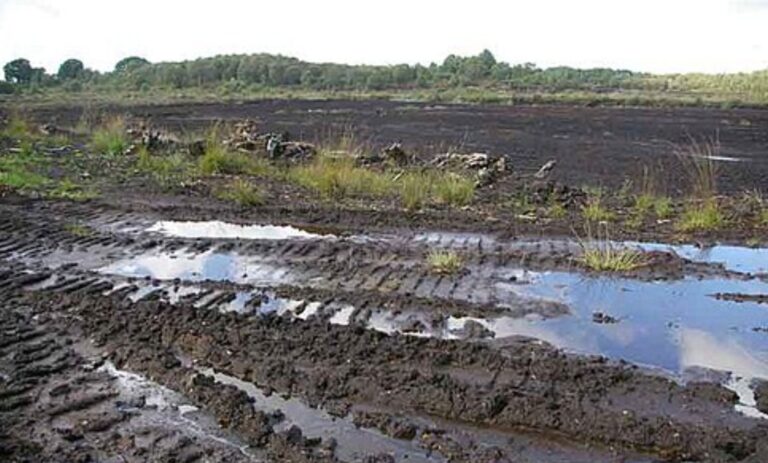 Archeology dodnes fascinuje nález na britském rašeliništi Lindow Moss u Wilmslowu.