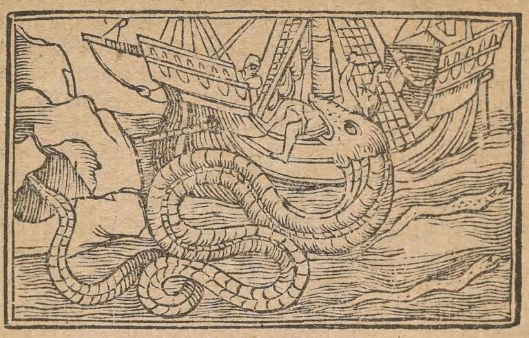 Oarfish je legendární ryba, která fascinuje mnohé. Jenže její zjevení provázejí katastrofy.