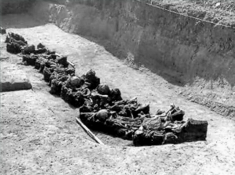 25 kosterních pozůstatků nalezených po obvodu čtverce bylo převážně dětského věku. Kolem se našly desítky dalších hrobů.