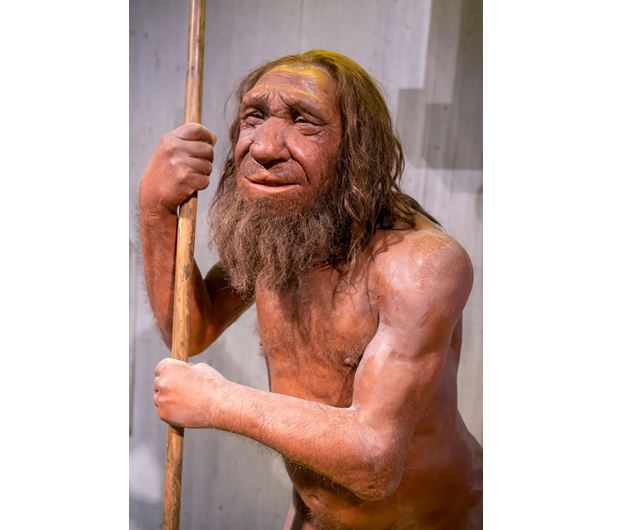 Většina dnešních lidí má stopy neandertálské DNA. Ale není nám to nijak na škodu!