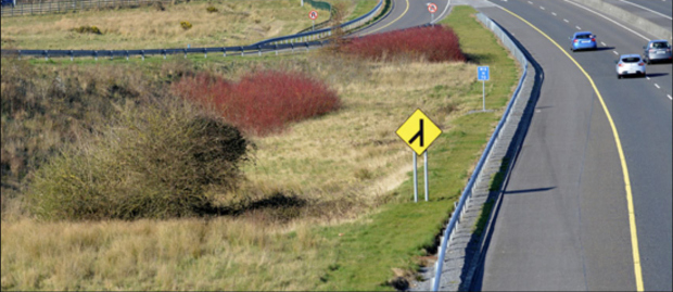 Tenhle nenápadný keř za značkou prý patří vílám.