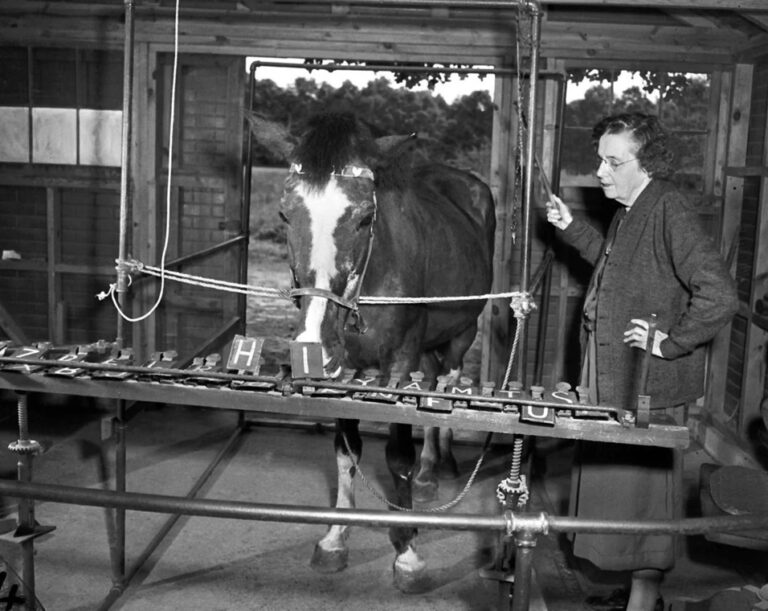 Lady Wonder údajně uměla komunikovat s okolím pomocí speciálního zařízení.