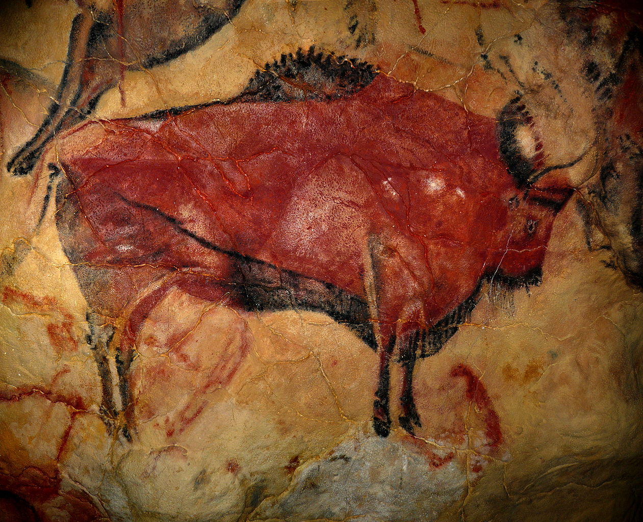Stěny „Sixtinské kaple paleolitu“, jak je Altamira přezdívaná, mimo jiné zdobí kolem 150 obrazů bizonů.