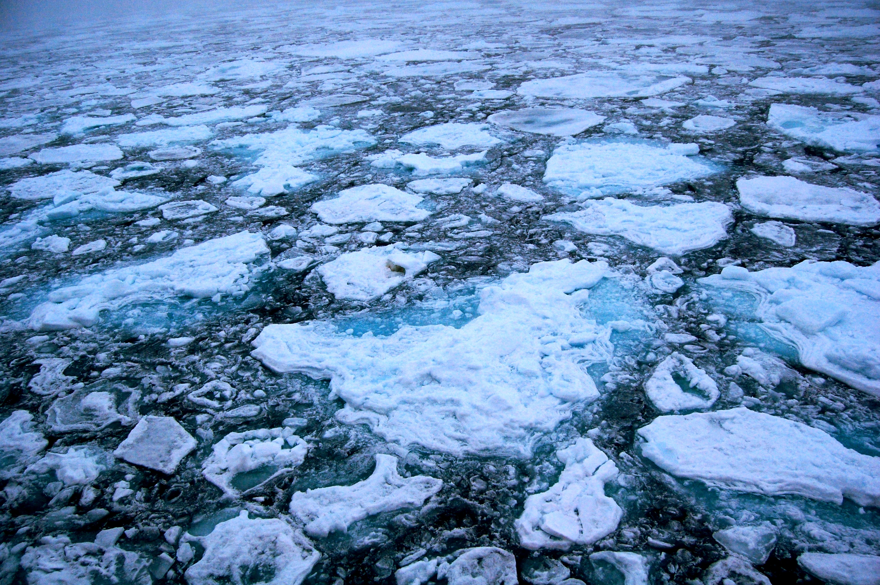 Led v Arktidě rychle mizí, což vede k oslabování Golfského proudu.