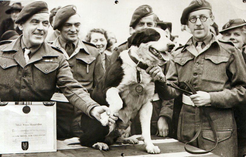 V únoru 1945 oslavuje vojenská kólie jménem Rob zisk medaile Marie Dickinové za 20 seskoků během války.