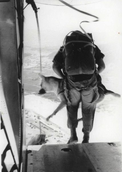 Psi pomáhali Američanům i během války ve Vietnamu. Vlčák Lobo a seržant Spano v srpnu 1968 skáčou v oblasti Da Nang.
