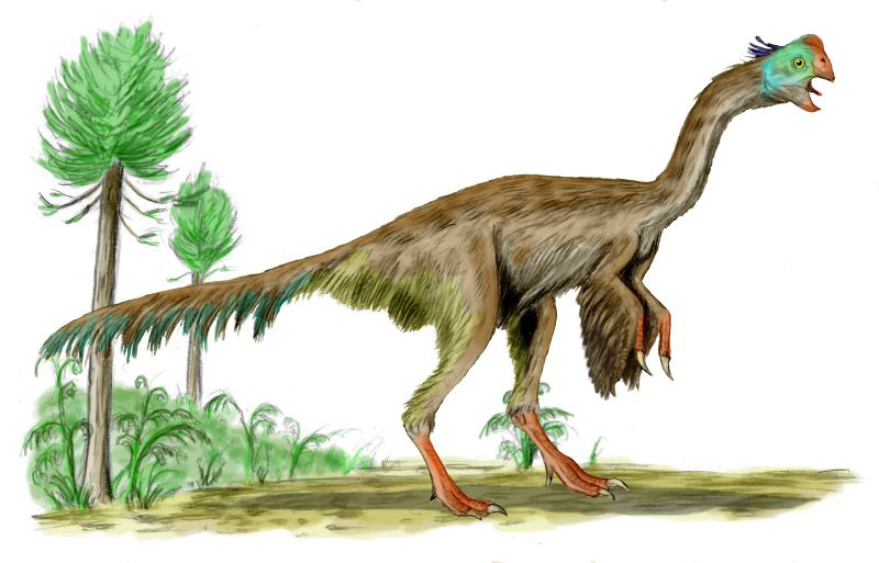 Gigantoraptor, největší zástupce skupiny oviraptosaurů.