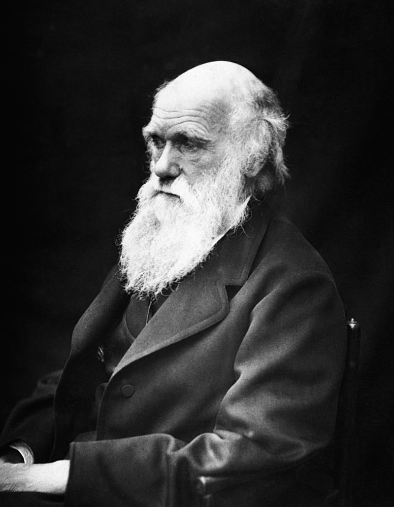 Charles Darwin zformuloval teorii přirozeného výběru.