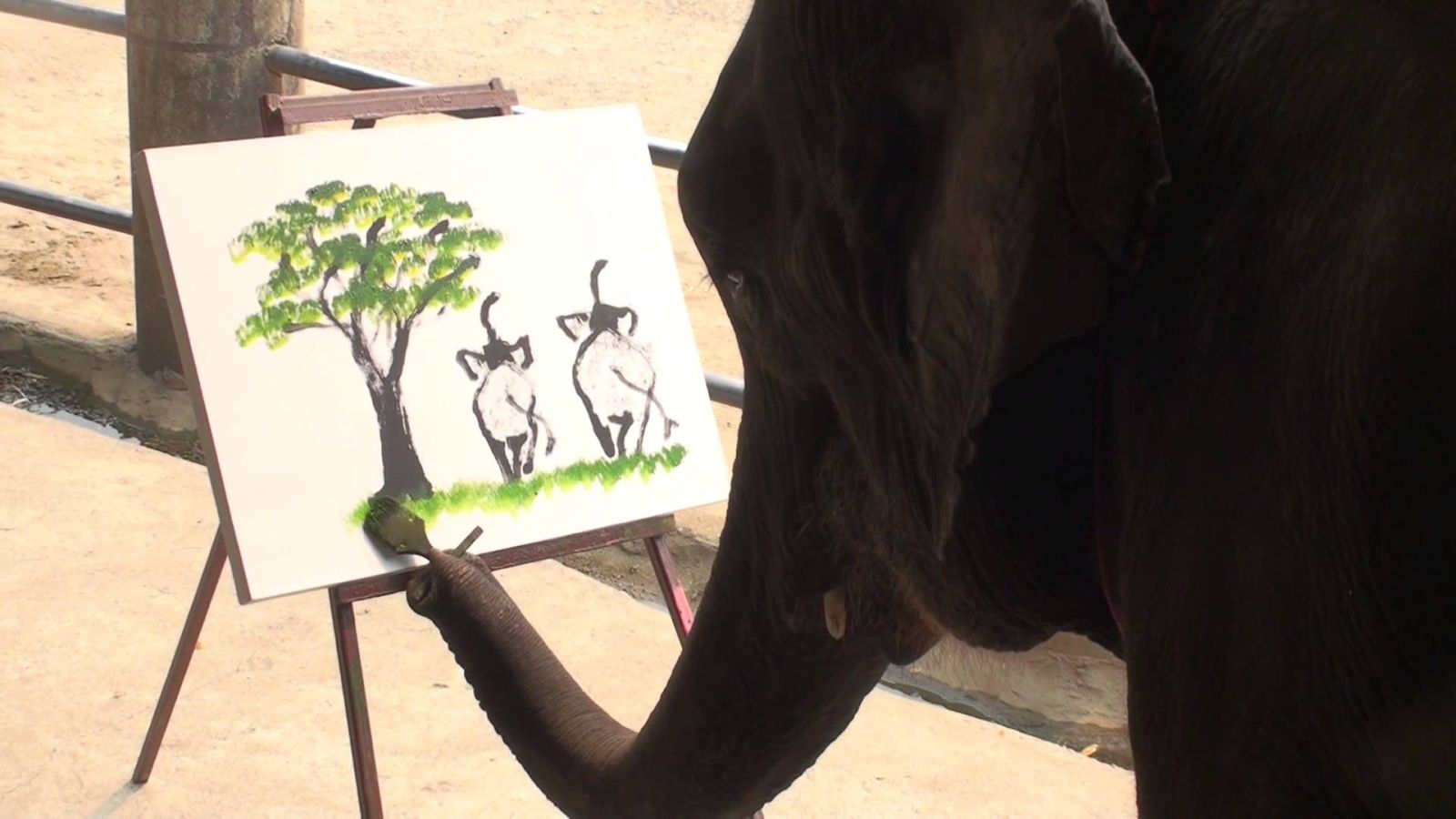 Sloni mají určitý rituál, ve kterém uctívají svého druha.