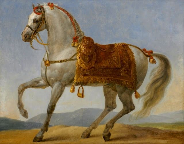 Na hřbetě koně Marenga projel Napoleon Bonaparte téměř polovinu Evropy.