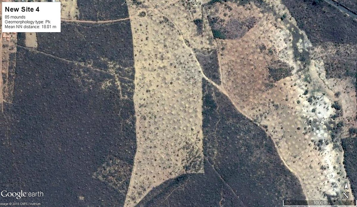 Termití kolonie je světu dlouhá léta skryta. Dnes ji „šmíruje“ i Google Earth.