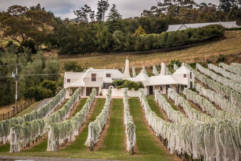 Známé novozélandské vinařství Te Mata