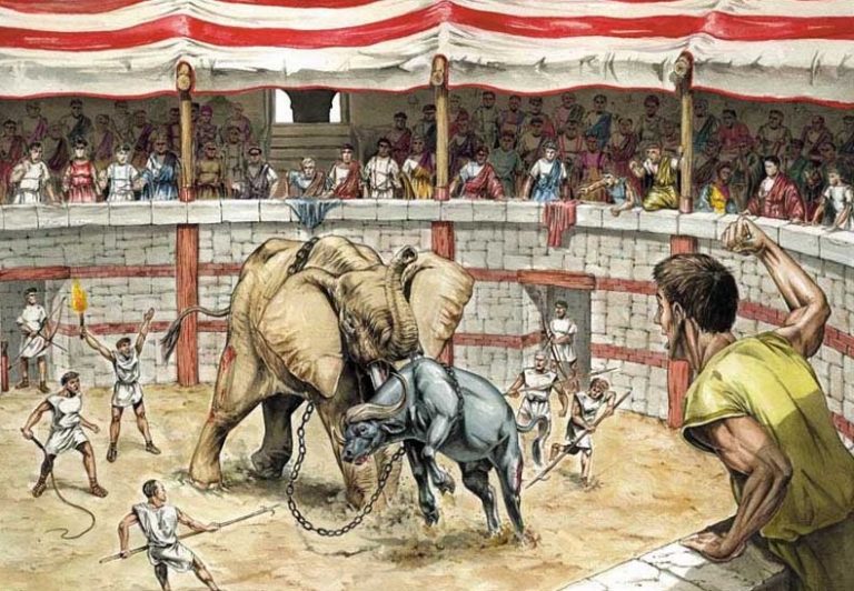 Kromě gladiátorů bojují v aréně o život i zvířata.