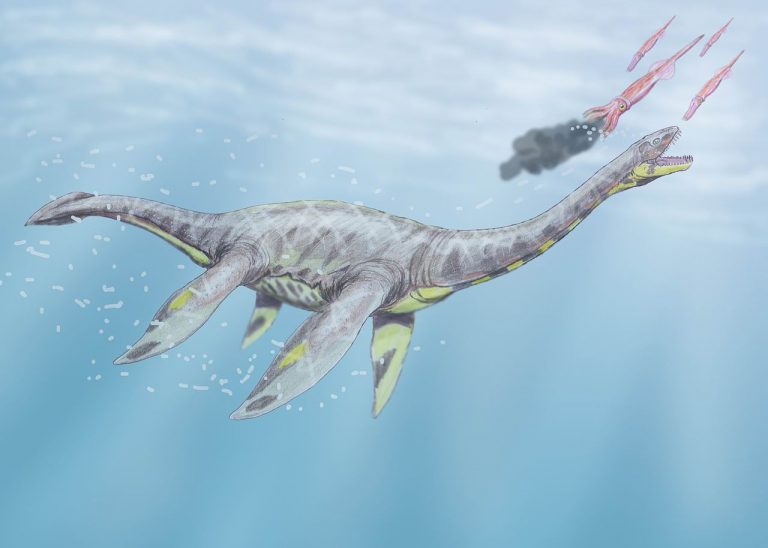 Netvor prý připomíná prehistorického plesiosaura.