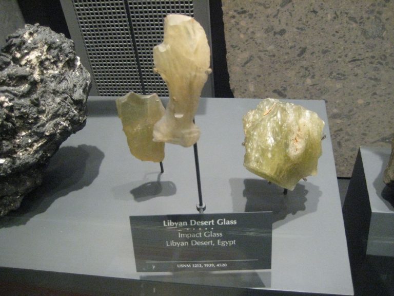 Úlomky je možné spatřit v Národním muzeu přírodní historie ve Washingtonu.