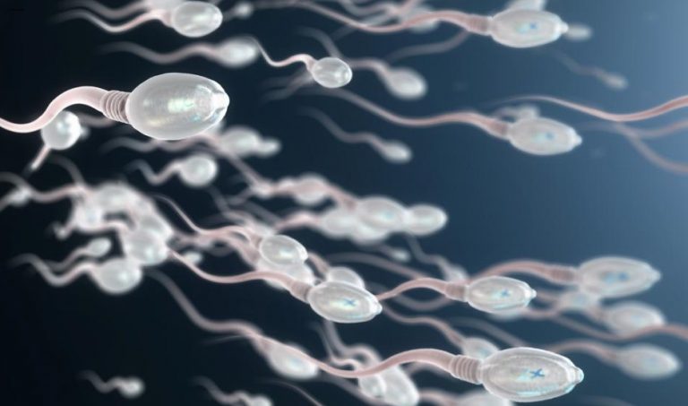 Zmražení spermií je logický krok pro každého pacienta s rakovinou.