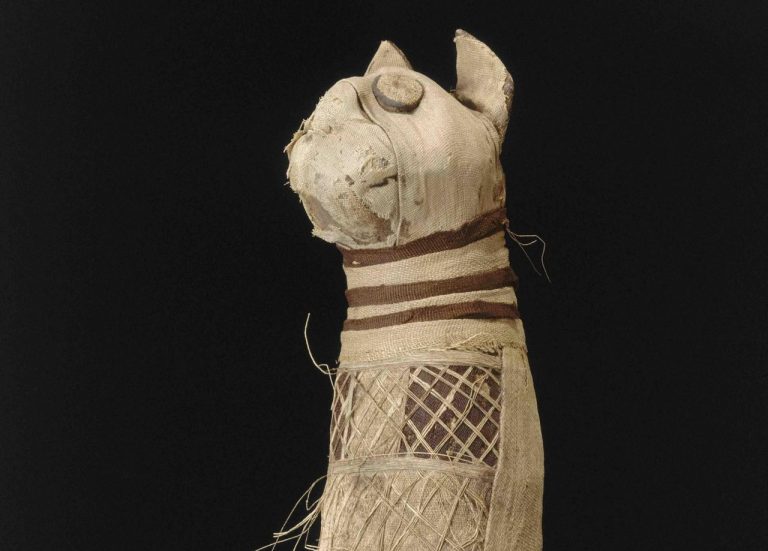 Zvířecí mumie občas bývají jen prázdné schránky bez obsahu.
