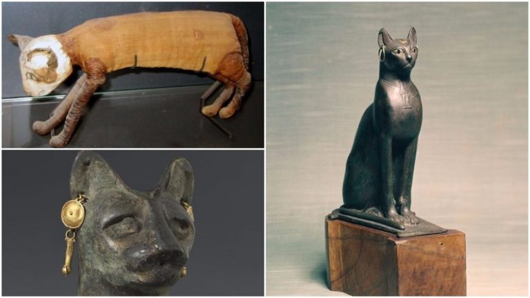 Z nálezů je patrné, že kočky byli starými Egypťany chovány v posvátné úctě.