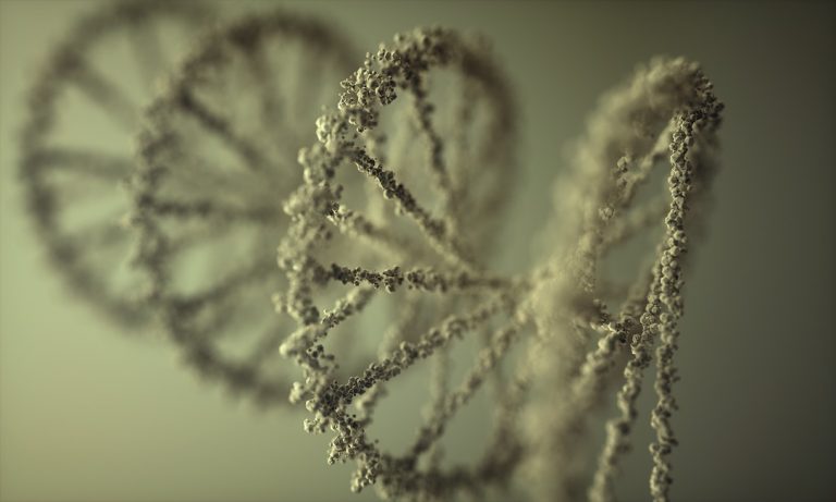 DNA je nositelkou veškeré genetické informace všech organismů.