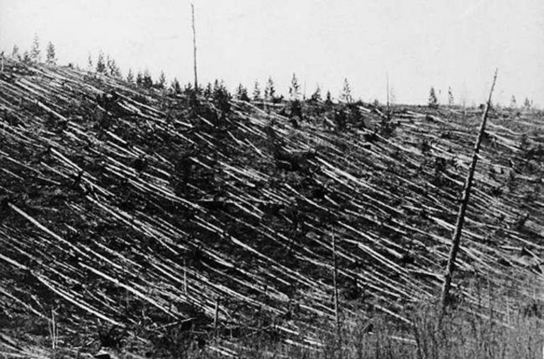 Exploze na Sibiři byla 200krát silnější než atomová bomba svržená na Hirošimu a v oblasti 2150 kilometrů čtverečních vyvrátila více než 80 milionů stromů.