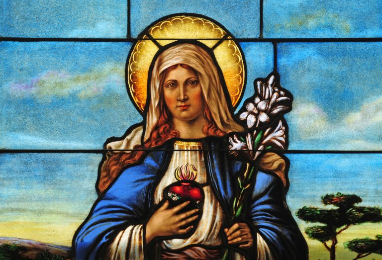 Lilie se často zobrazovala v rukou Panny Marie, ale i jiných světců.