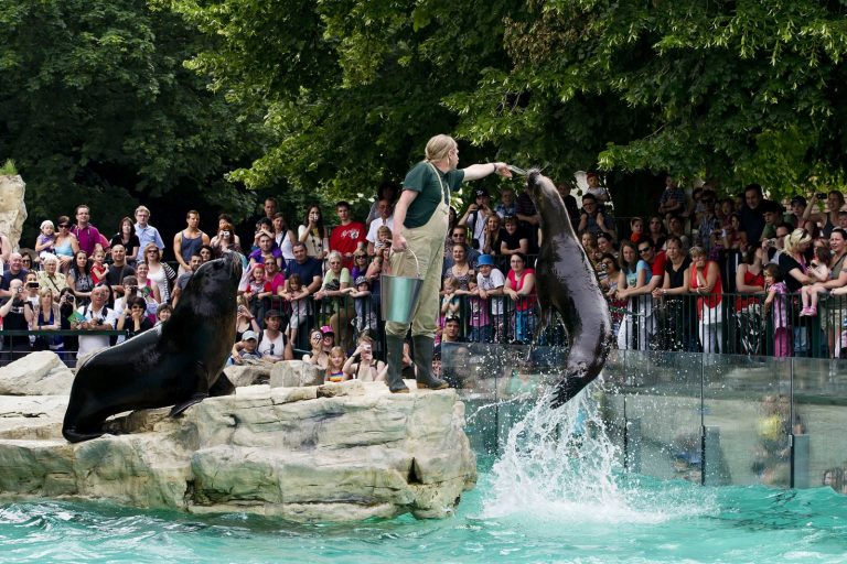 Vídeňská zoo patří k těm nejstarším.