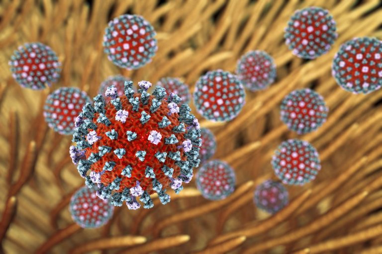 Asi 200 000 chřipkových virů naskládaných vedle sebe by vytvořilo řadu dlouhou 1 cm.