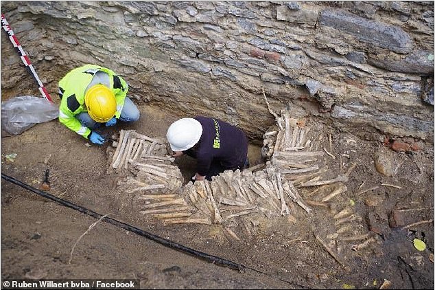 Stěny z lidských kostí jsou pro Belgii unikátním nálezem, který odborníkům zamotal hlavy.