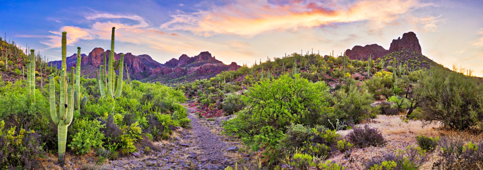 Nejkrásnější a nejrozmanitější pouště světa – EpochálníSvět.cz