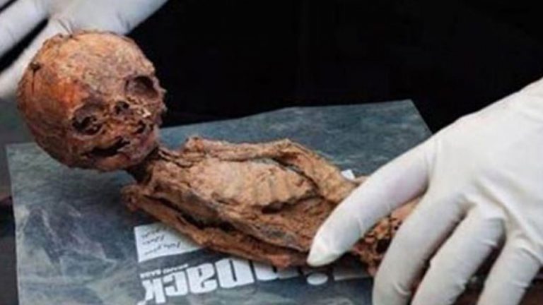 Patří nalezená mumie někomu z trpasličí rasy, nebo se jedná o předčasně zesnulé dítě?
