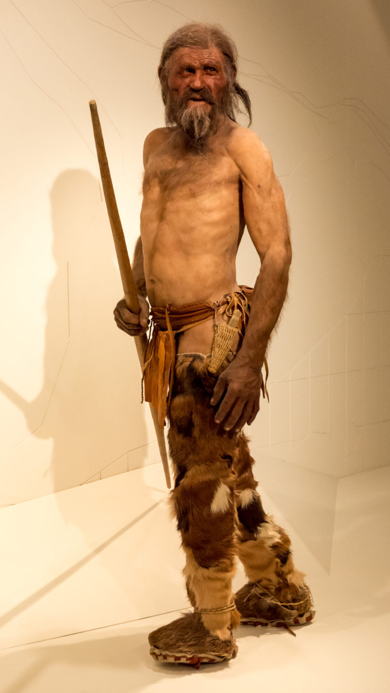 Od roku 1998 je replika těla ledovcového muže vystavena v muzeu v Bolzanu.