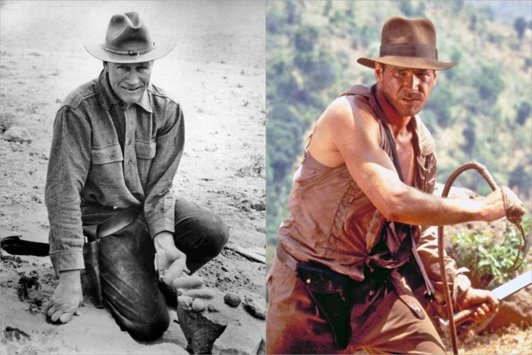 Podle někoho Byl Andrews předlohou pro postavu Indiana Jonese.