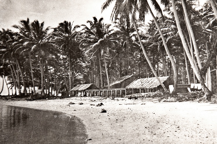 Na ostrově zakládá kokosovou plantáž.