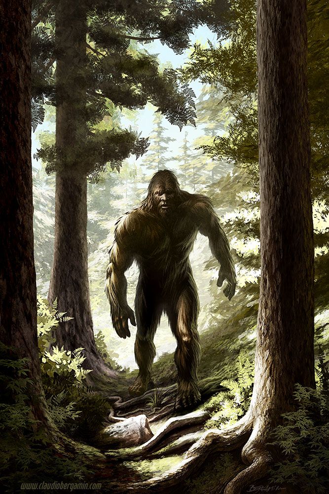 Muž se prý v lese mohl setkat s Bigfootem.