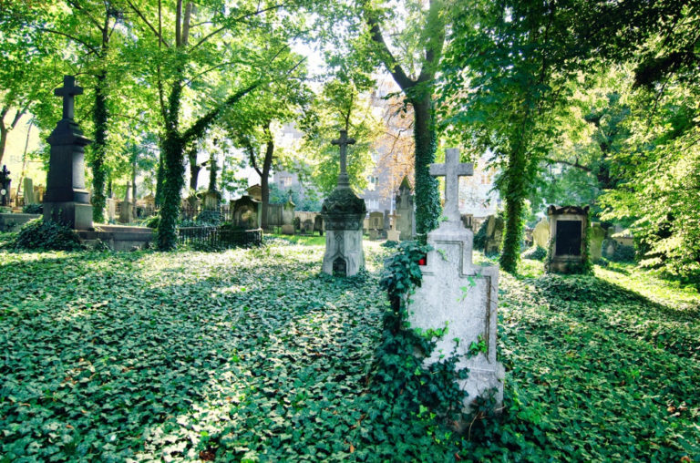 Na Olšanských hřbitovech byly původně pohřbívány oběti moru.