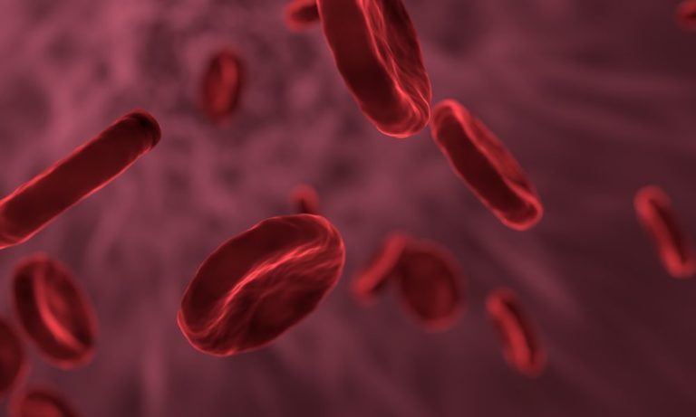 Hemofilie je poměrně vzácné genetické onemocnění, které se projevuje poruchou srážlivosti krve. Foto: qimono / pixabay