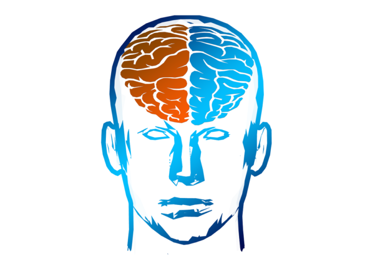 Kdyby spolu dvě části hemisfér nespolupracovaly, mozek by tak spotřeboval mnohem více energie (kterou by jinak spotřebovalo tělo), výsledkem je únava, snížená pozornost či nechuť k další činnosti. Foto: ArtsyBeeKids / pixabay