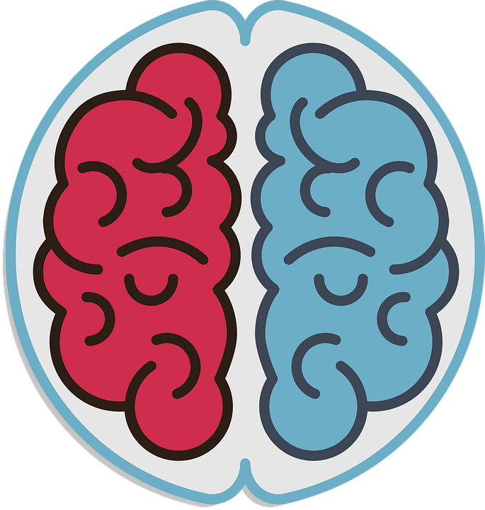 Podle poznatků je dyslexie pravděpodobně způsobena nesprávnou vzájemnou komunikací pravé a levé hemisféry, mezi přední a zadní částí mozku. Foto: martabystron / pixabay