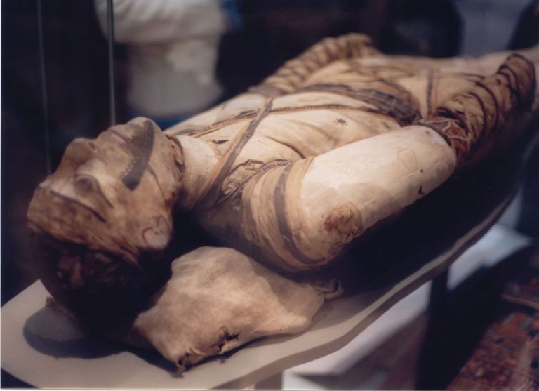 Byla nalezena i v egyptských mumiích.
