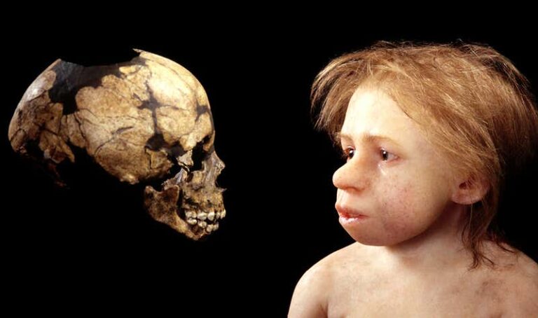 Část čelisti malého neandertálce se našla v roce 1880 v jeskyni v moravském Štramberku.