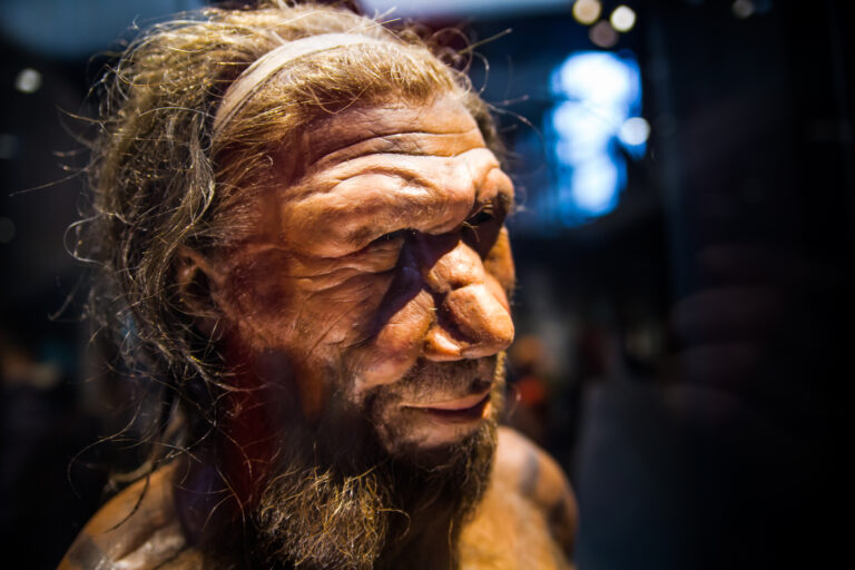 Neandertálci byli daleko vyspělejší, než se původně předpokládalo.
