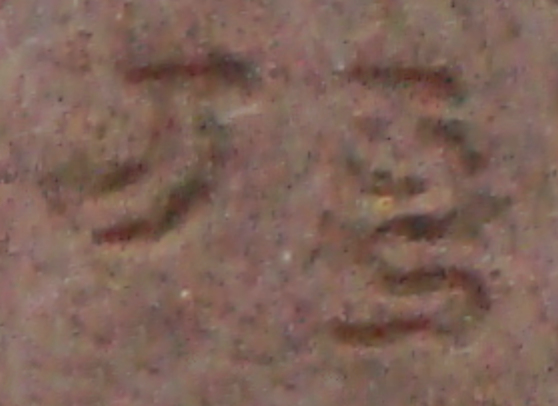 Text na sloupu naznačuje, že byl určen pro krále, zřejmě Čandraguptu II.