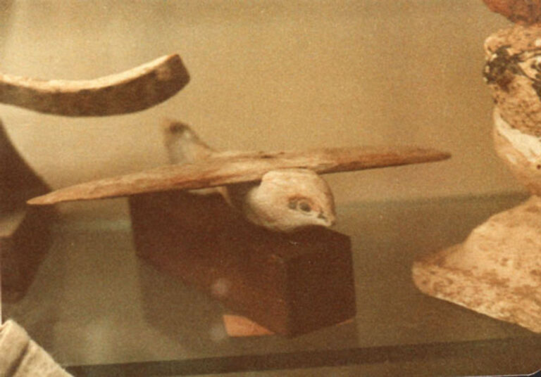 Pták z hrobky ze Sakkáry je podle egyptského lékaře modelem moderního kluzáku.