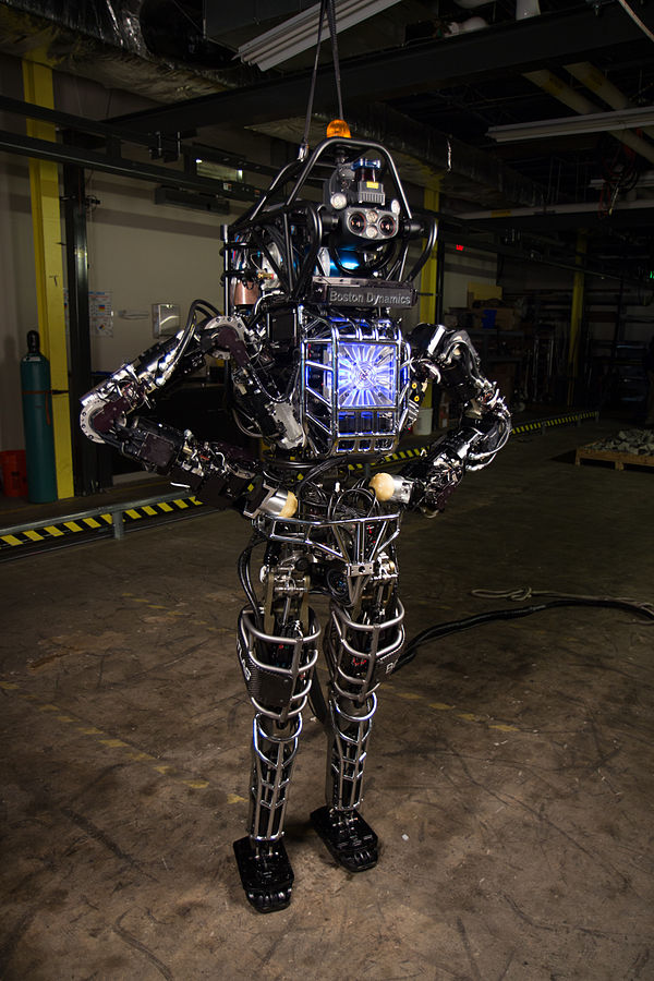 Humanoidního robota pojmenovaného Atlas vyvinula v roce 2013 americká robotická společnost Boston Dynamics ve spolupráci s výzkumnou agenturou US Advances Defense Research Projects (DAPRA), která spadá pod Ministerstvo obrany Spojených států. Foto: ThaddeusB / Creative Commons / PD US DARPA