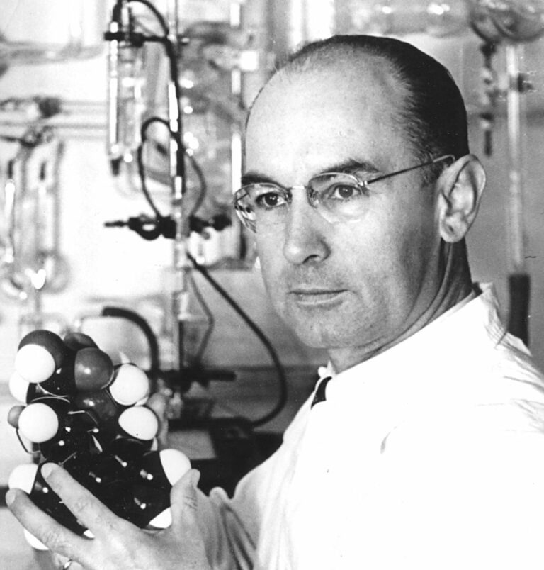 Zkušený švýcarský vědec Albert Hofmann se s chutí pustí do výzkumu lysohlávek.