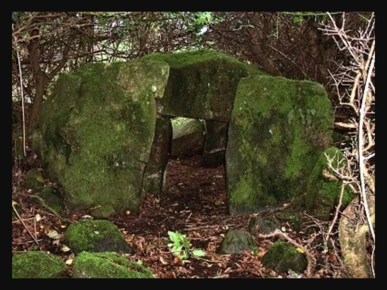 V lese je možné narazit na druidský oltář. Podle některých badatelů zde docházelo i k lidským obětem.