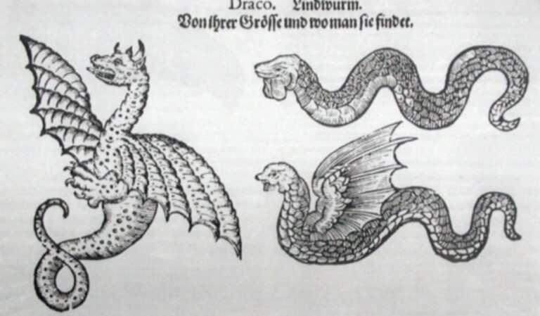 Ještě v 17. století byli draci považováni za reálná zvířata. S čím se naši předci setkávali?